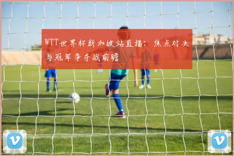 WTT世界杯新加坡站直播：焦点对决与冠军争夺战前瞻